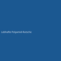 Lebhafte Polyamid-Rutsche