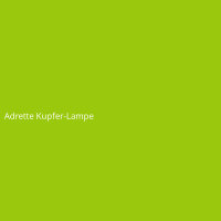 Adrette Kupfer-Lampe